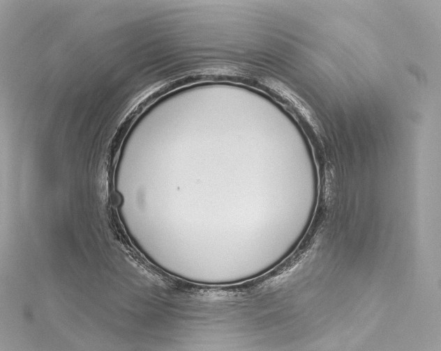 X0000115220829200911181547