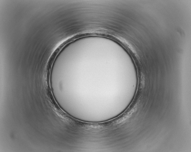 X0000115220830200911181547