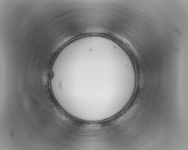 X0000115220833200911181547
