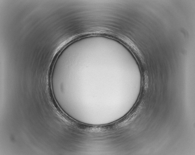X0000115220834200911181547