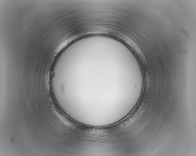 X0000115220842200911181547