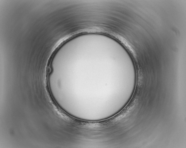 X0000115220845200911181547