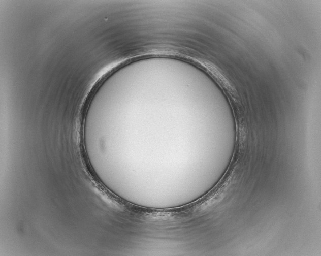 X0000115220846200911181547