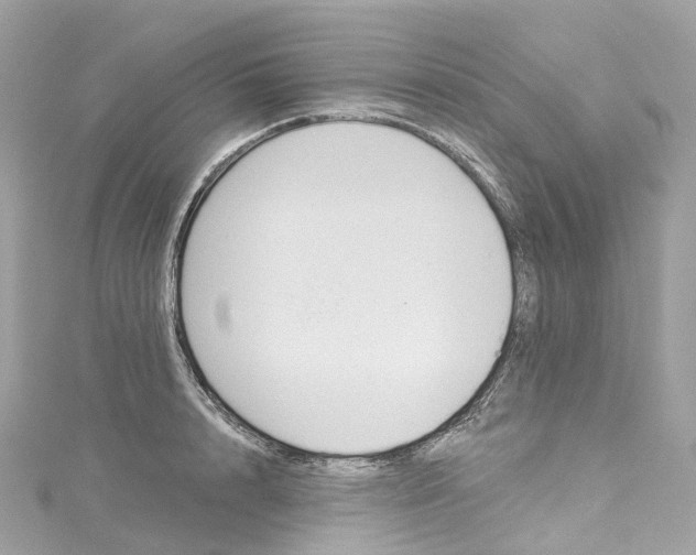 X0000115220848200911181547