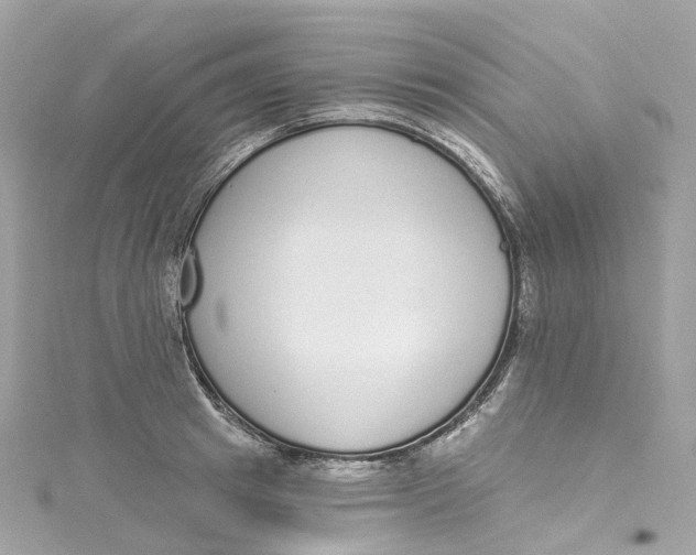 X0000115220849200911181547