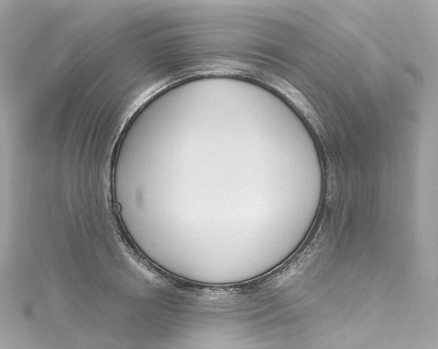X0000115220850200911181547
