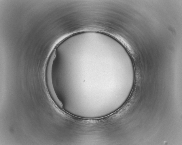 X0000115220854200911181547