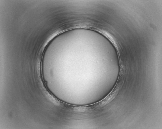 X0000115220859200911181547