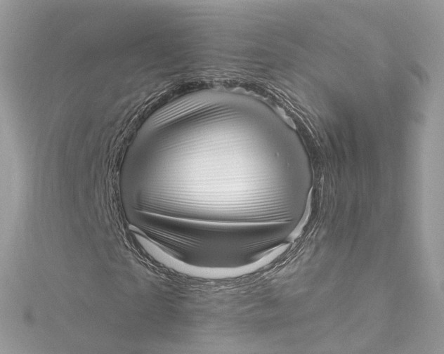 X0000115220865200911181547