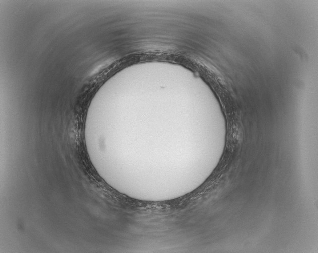 X0000115220869200911181547