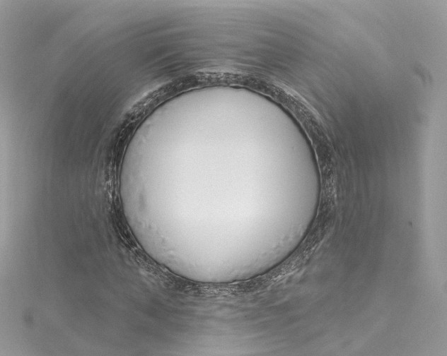 X0000115220870200911181547