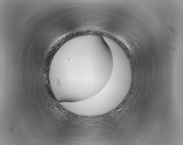 X0000115220872200911181547