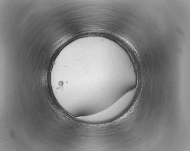 X0000115220873200911181547