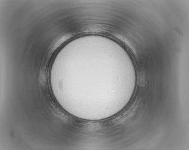 X0000115220874200911181547