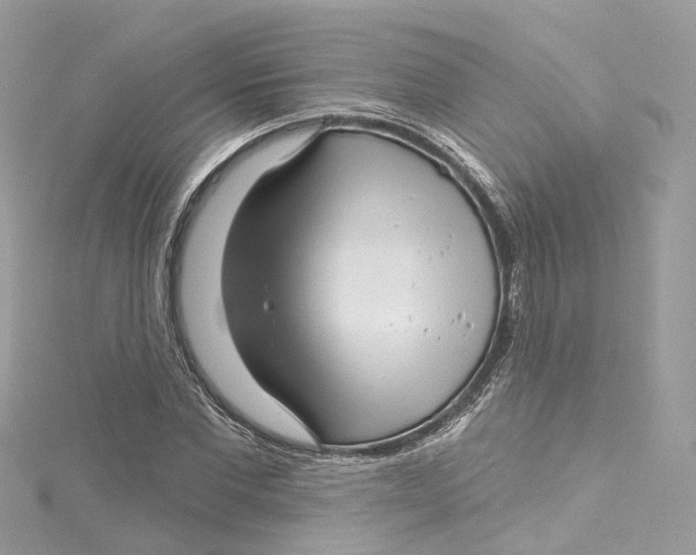 X0000115220877200911181547