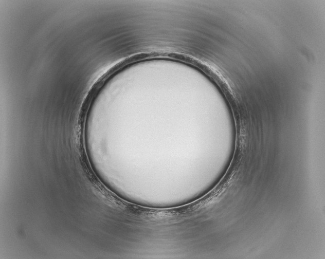 X0000115220879200911181547