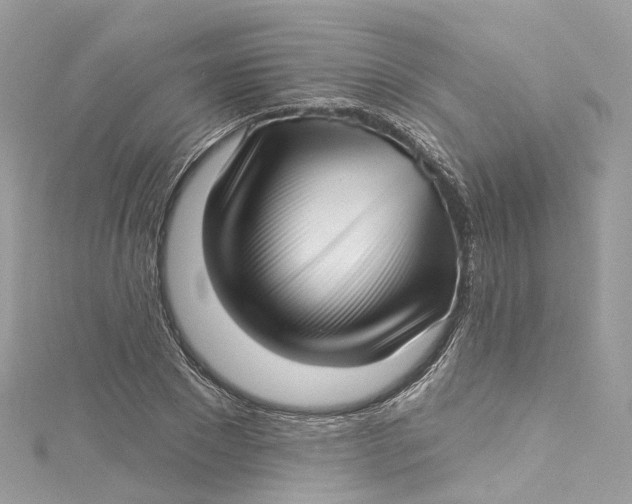 X0000115220881200911181547