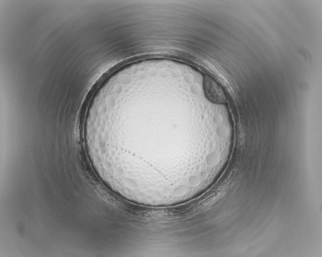 X0000115220883200911181546