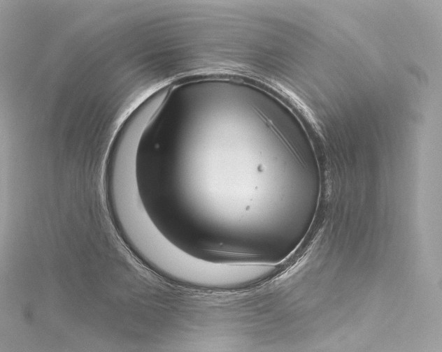 X0000115220885200911181546