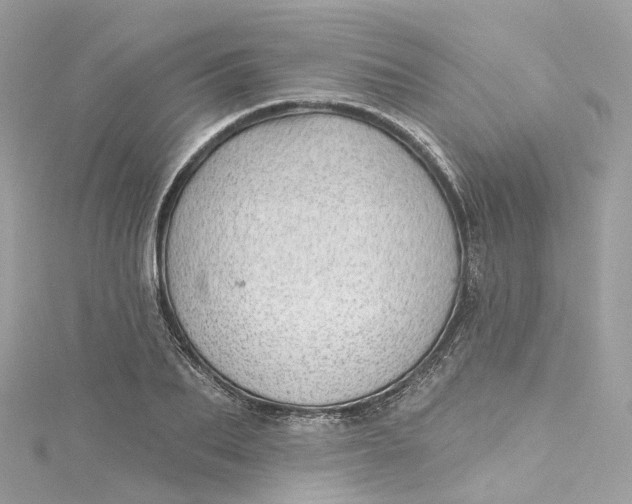 X0000115220887200911181546