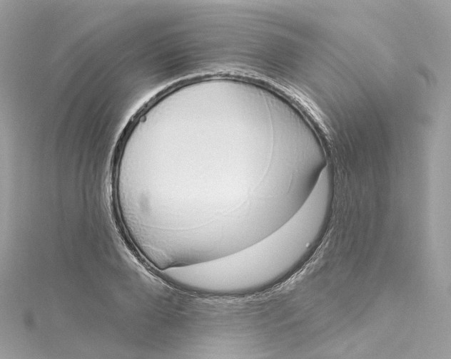 X0000115220888200911181546