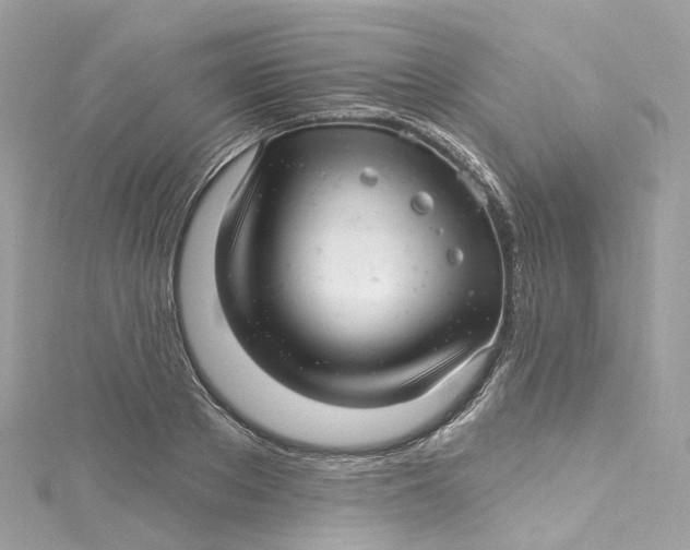 X0000115220889200911181546
