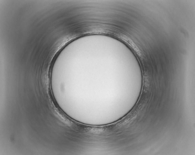 X0000115220890200911181546