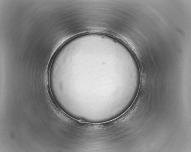 X0000115220891200911181546