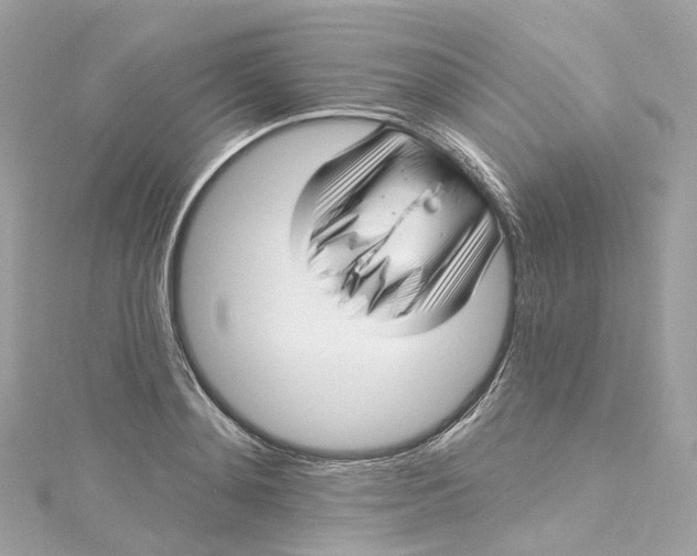 X0000115220892200911181546