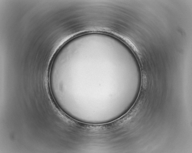 X0000115220895200911181546