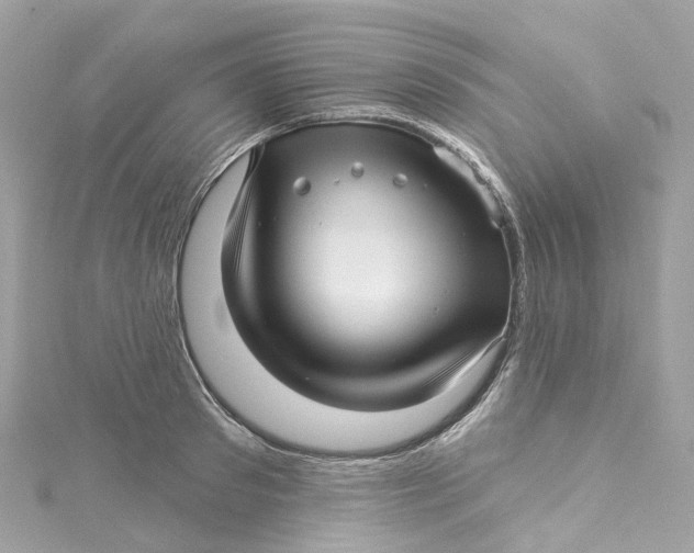 X0000115220897200911181546