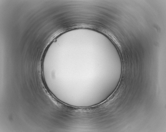 X0000115220898200911181546