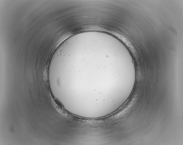 X0000115220905200911181546