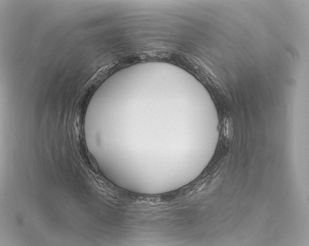 X0000115220915200911181546