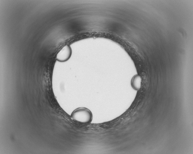 X0000115220918200911181546