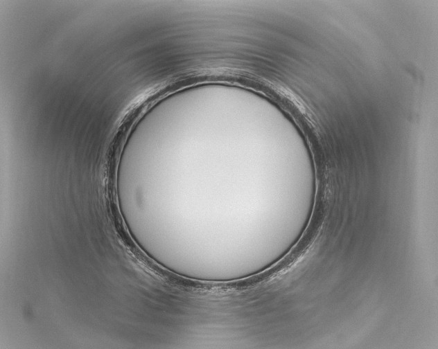 X0000115220922200911181546