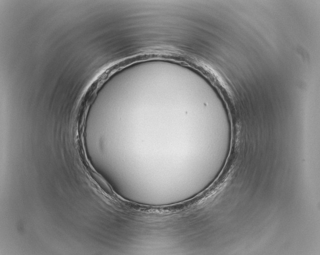 X0000115220923200911181546