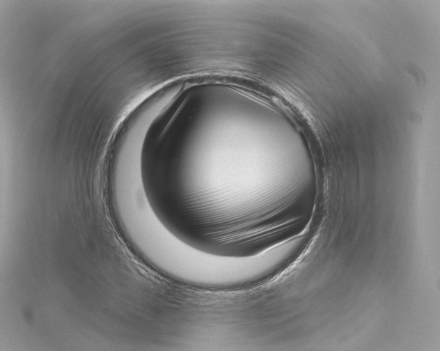 X0000115220925200911181546