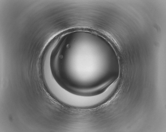 X0000115220926200911181546