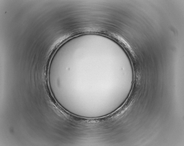X0000115220930200911181546