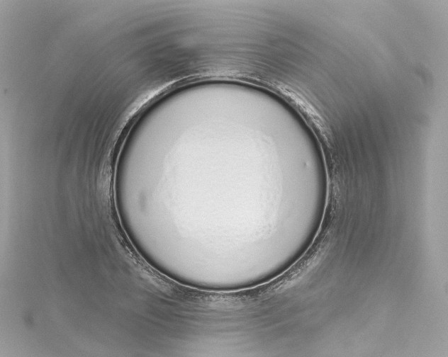 X0000115220933200911181546
