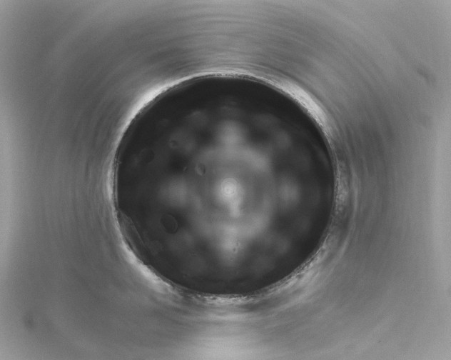 X0000115220958200911181546