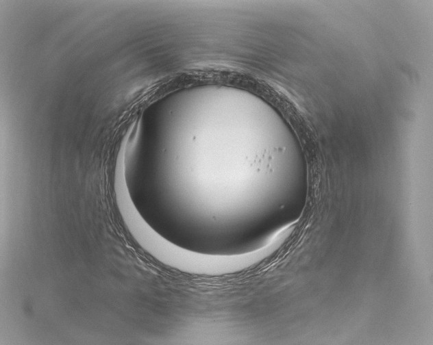 X0000115220965200911181545