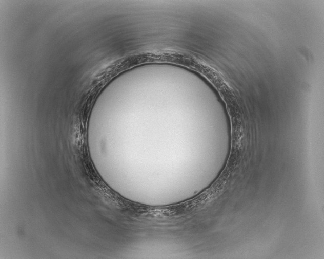 X0000115220966200911181545