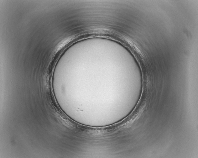 X0000115220970200911181545