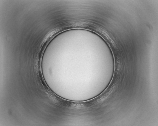 X0000115220978200911181545