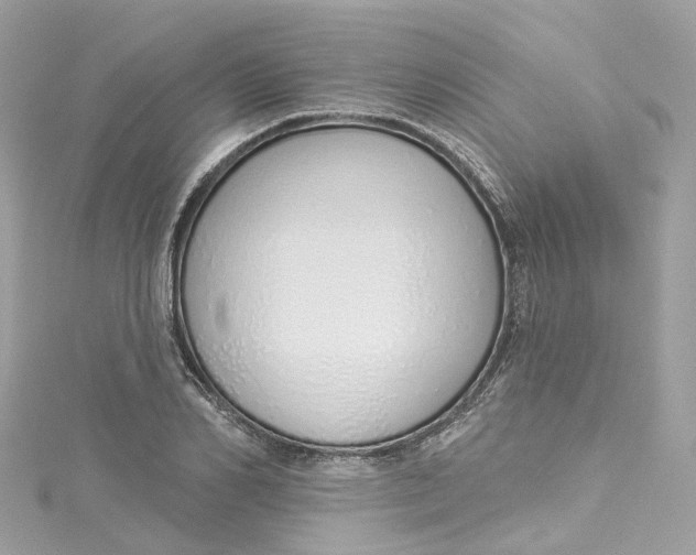 X0000115220982200911181545