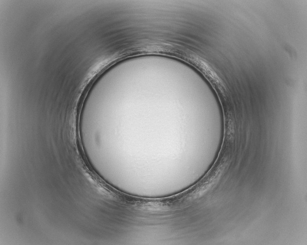 X0000115220986200911181545