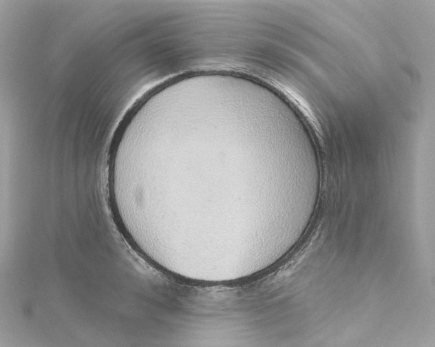 X0000115220992200911181545
