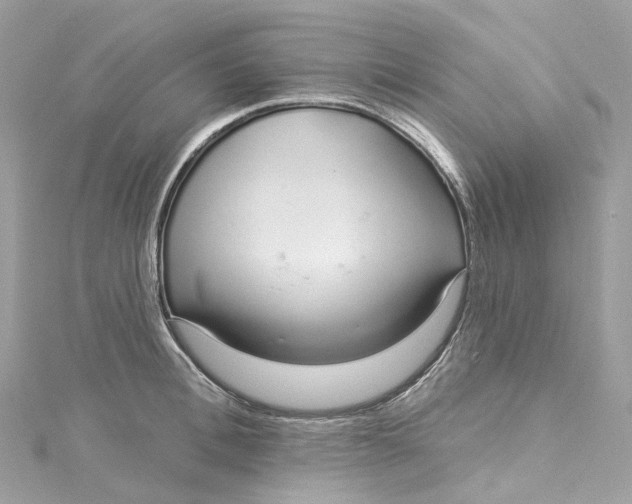 X0000115220996200911181545